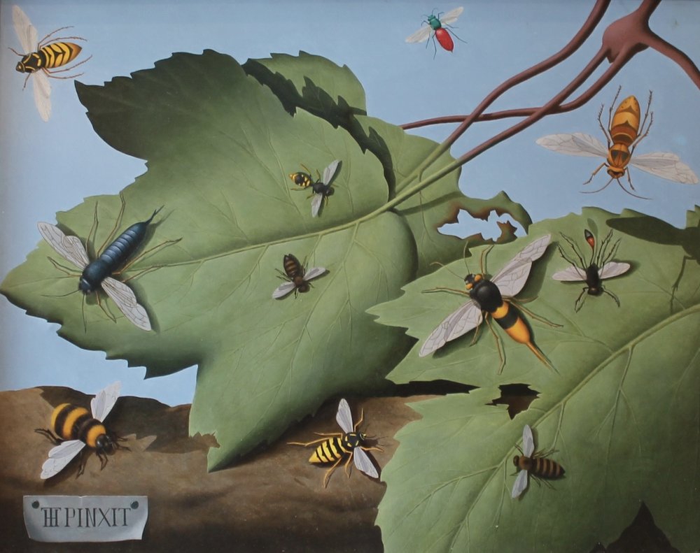 P 5760 A painting by Tristram Hillier - Insects